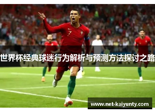 世界杯经典球迷行为解析与预测方法探讨之路