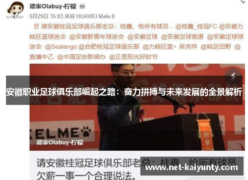 安徽职业足球俱乐部崛起之路：奋力拼搏与未来发展的全景解析