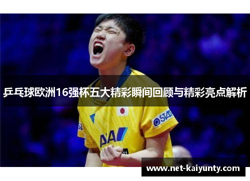 乒乓球欧洲16强杯五大精彩瞬间回顾与精彩亮点解析