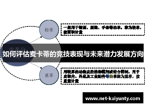 如何评估麦卡蒂的竞技表现与未来潜力发展方向