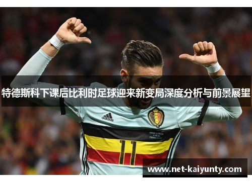 特德斯科下课后比利时足球迎来新变局深度分析与前景展望