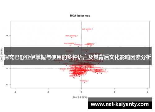 探究巴舒亚伊掌握与使用的多种语言及其背后文化影响因素分析